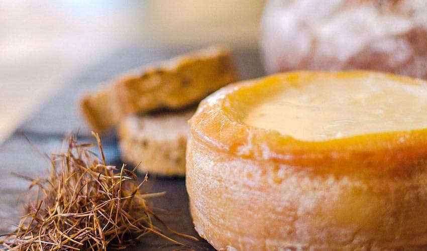 Conoce las queserías que elaboran el más singular queso del mundo