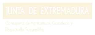  Junta de Extremadura
